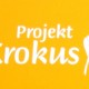 krokus2