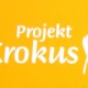 krokus2